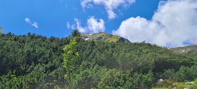 Ostatni rzut oka na Wołowiec z zielonego szlaku w Wyżni Doliny Chochołowskiej