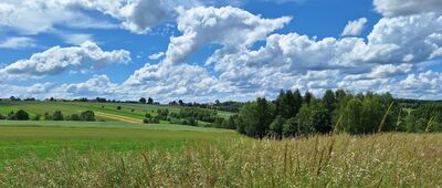 Sąspów, granica parku narodowego ↔ Sąspów, granica parku narodowego [Między Wolą Kalinowską a Pieskową Skałą]