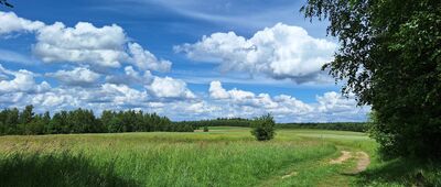 Sąspów, granica parku narodowego ↔ Sąspów, granica parku narodowego [Między Wolą Kalinowską a Pieskową Skałą]