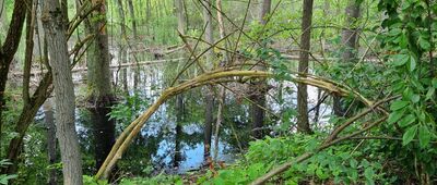 Obrzycko, ul. Stanisława Staszica ↔ Słopanowo