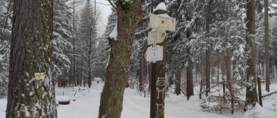 Droga pod Reglami, granica parku narodowego