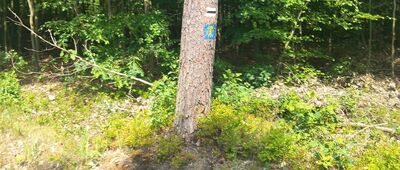 Rezerwat Wiosło Małe