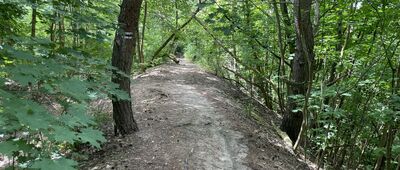 Toruń, bike park ↔ Toruń, ul. Polna