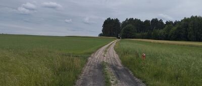 Rozejście szlaków czerwony / niebieski ↔ Głowaczów