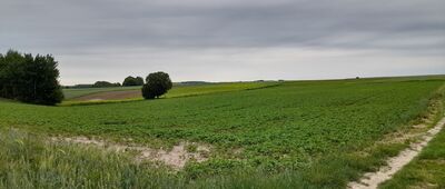 Niemiecka Wieś ↔ Kolonia Borkowizna [Kolonia Borkowizna]