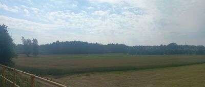 Kurzętnik, Nowe Osiedle ↔ Szramowo