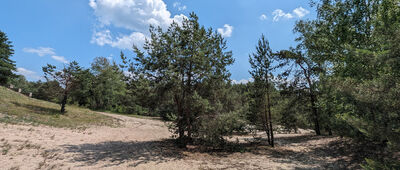 Piaszczysta Góra, bunkry ↔ Rozejście szlaków [Piaszczysta Góra]