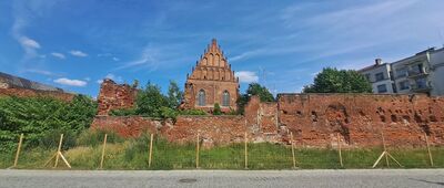 Elbląg Zdrój ↔ Elbląg