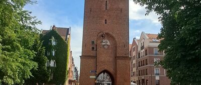 Elbląg Zdrój ↔ Elbląg