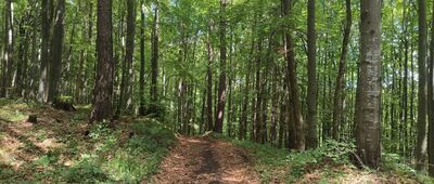 Glac, bývalá horáreň, rázc. ↔ Pod Bykárkou