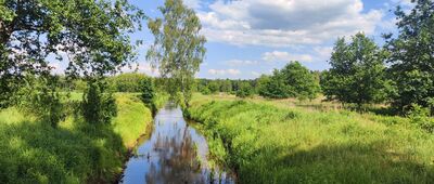 Gromadka ↔ Wierzbowa [Rzeczka Siekierna]