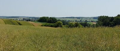 Anielpol ↔ Skrzyżowanie szlaków [Skierbieszowski Park Krajobrazowy.]