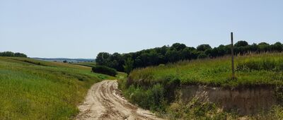 Skrzyżowanie szlaków [Skierbieszowski Park Krajobrazowy.]