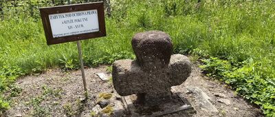 Podlesie ↔ Zagórze Śląskie, ul. Główna