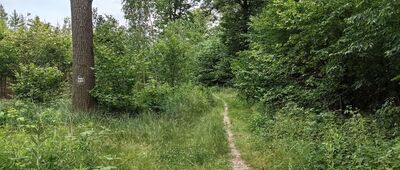 Wieruszów ↔ Krzyżowa, przy stacji kolejowej