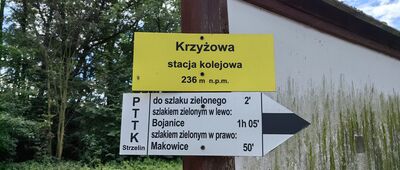 Krzyżowa, stacja kolejowa