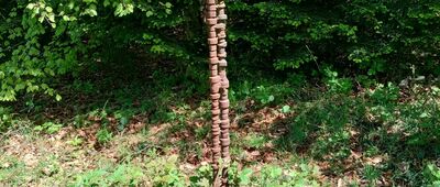 Miejsce katastrofy śmigłowca Mi-2