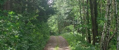 Pod Zaječí horou ↔ Borový potok