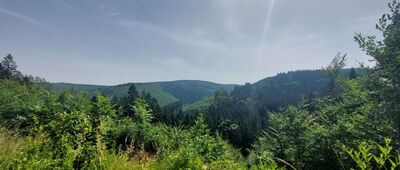 Pod Zaječí horou ↔ Borový potok