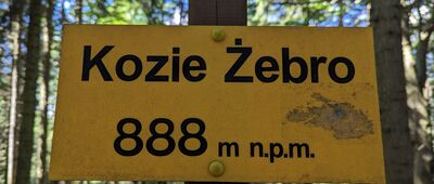 Nowy Sącz, Jamnica ↔ Czerszla