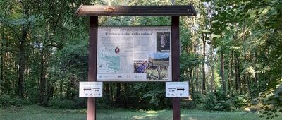 Bratnik [Shinrin yoku według kardynała Wyszyńskiego. Przed Bratnikiem.]