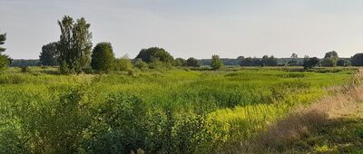 Samoklęski, Kolonia Druga [Zarośnięty staw w Samoklęskach.]