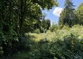 Romanów ↔ Rozdroże pod Gromnikiem
