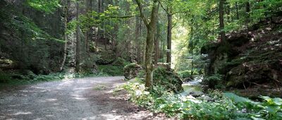 Dedošová dolina, ústie ↔ Drobkov