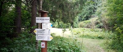 Vápenná dolina, ústie