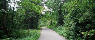 Vápenná dolina, ústie