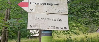 Polana Strążyska