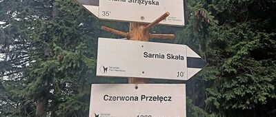 Czerwona Przełęcz