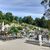 Wyjątkowy cmentarz w Wąwolnicy