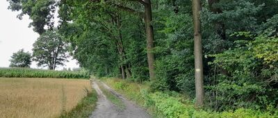 Wólka Łubkowska [Wola Łubkowska]