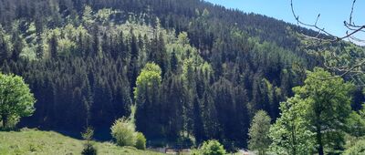 Schronisko Sowa ↔ Rozejście szlaków