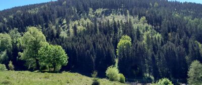 Schronisko Sowa ↔ Rozejście szlaków