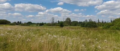 Rozejście szlaków ↔ Kamionka [Mokradła nad Parysówką]