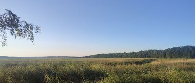 Gdańsk, Górki Zachodnie, pętla autobusowa ↔ Gdańsk, Górki Zachodnie, plaża