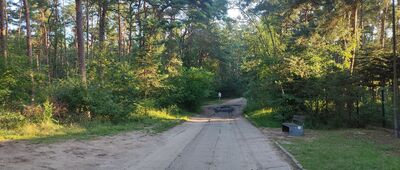 Gdańsk, Orlinki, plaża ↔ Camping Orlinek