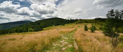 Rozejście szlaków [Kucałowa Przełęcz]