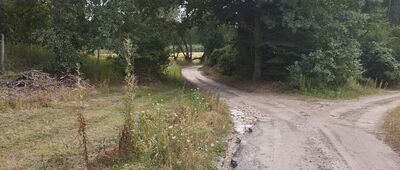 Henryków ↔ Żelechów