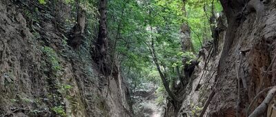 Bogoria Skotnicka ↔ Sandomierz, kościół Nawrócenia św. Pawła Apostoła [Wąwóz Królowej Jadwigi]