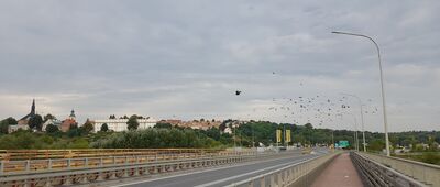 Sandomierz, ul. Powiśle ↔ Sandomierz, rzeka Wisła [Sandomierskie wzgórze i most na Wiśle]