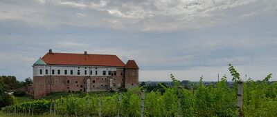 Sandomierz, kościół św. Jakuba ↔ Sandomierz, winnica św. Jakuba [Sandomierski zamek i dominikańska winnica]