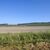 Rolniczy krajobraz Kotliny Chodelskiej
