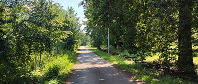 Wola Rudzka ↔ Las Powiślański [ul. Leśna w Opolu Lub.]