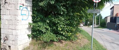 Kozłowa Góra, ul. Powstańców [Błędne oznaczenie szlaku zielonego, szlak skręca przed murkiem, nie za.]