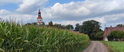 Choryń ↔ Wyskoć [Widać kościół w miejscowości Wyskoć]