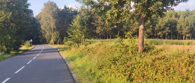 Rozejście szlaków ↔ Bieżyń