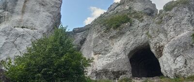 Droga 729 ↔ Rezerwat Góra Zborów, początek szlaku czarnego